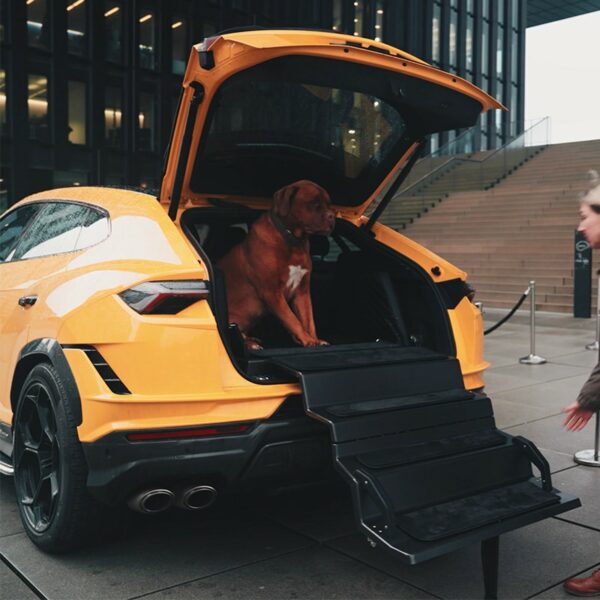DogDrive System für Lamborghini Urus