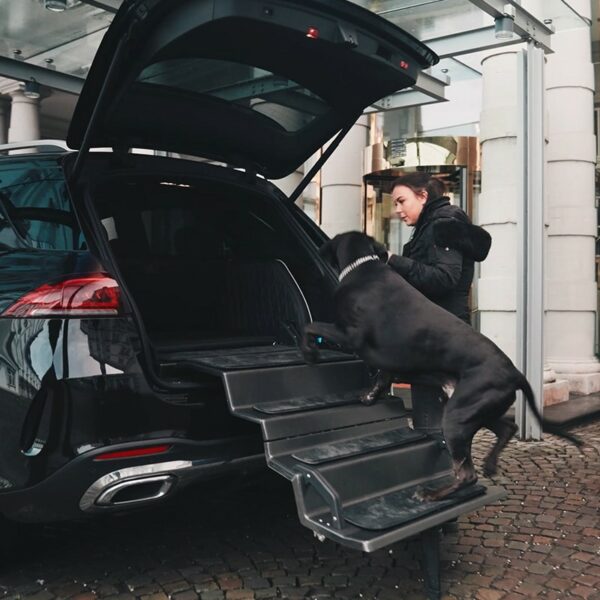 Système Dog&Drive pour Mercedes GLS SUV