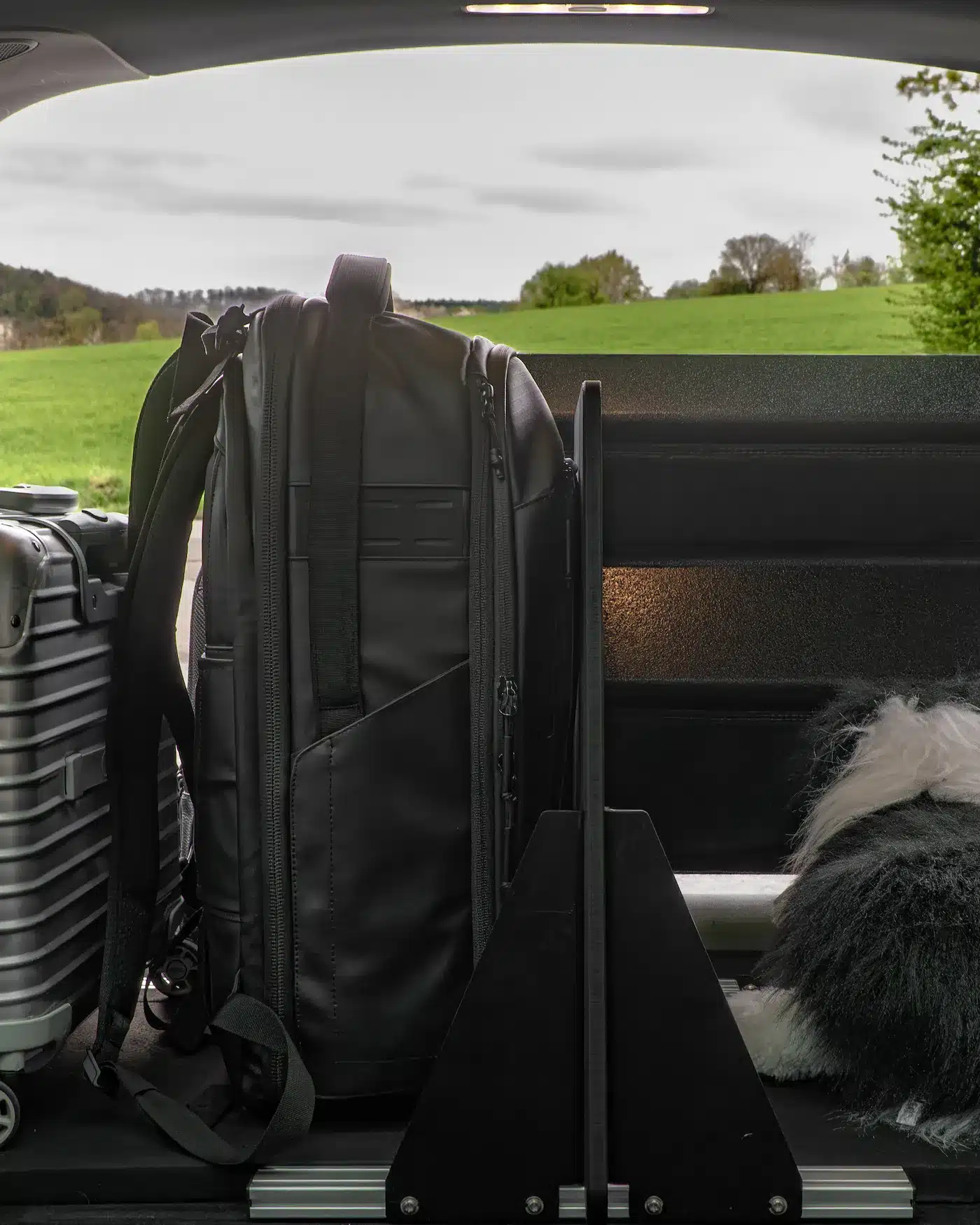 Trennsystem für Hunde von Dog and Drive