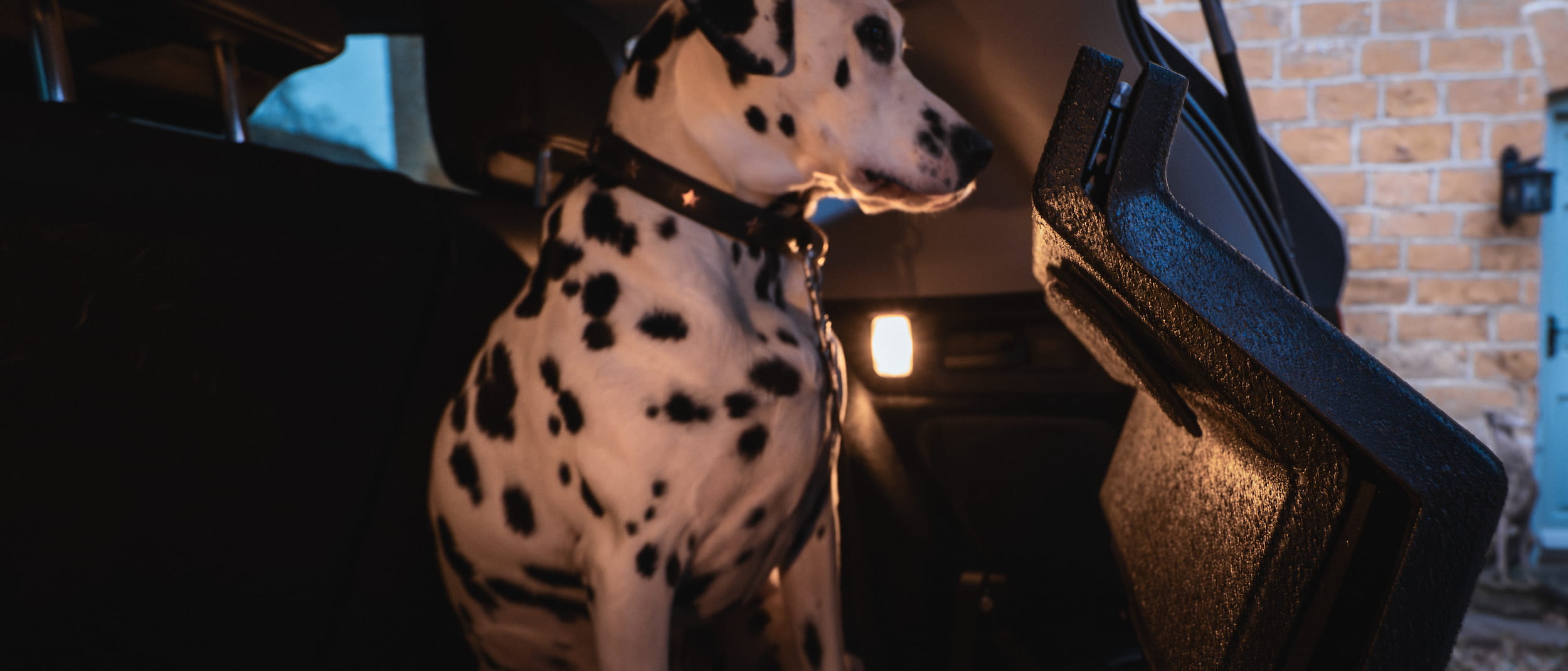 Dog & Drive steps folded compactly inside the tailgate opening