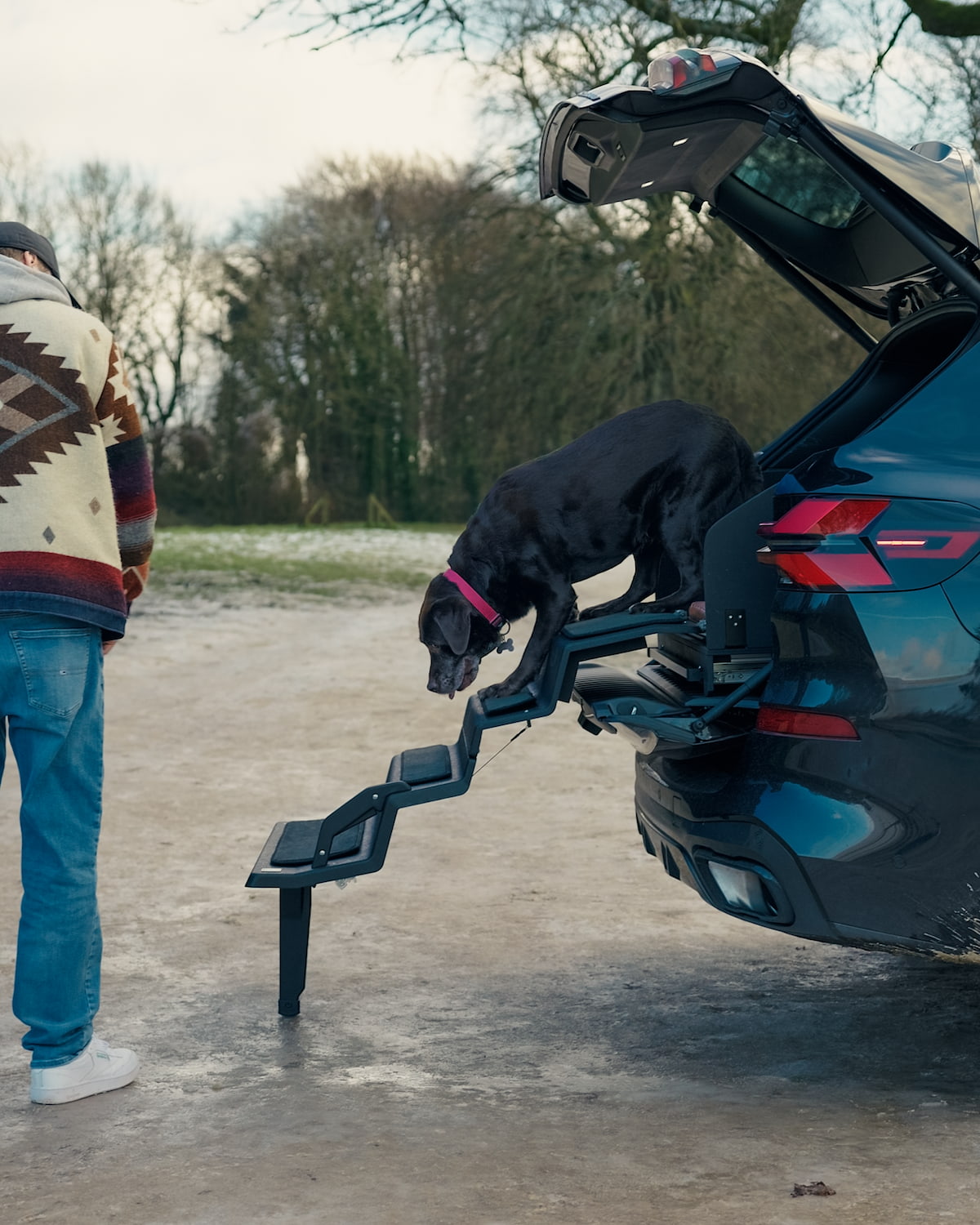 Dog & Drive full system installed in a vehicle boot