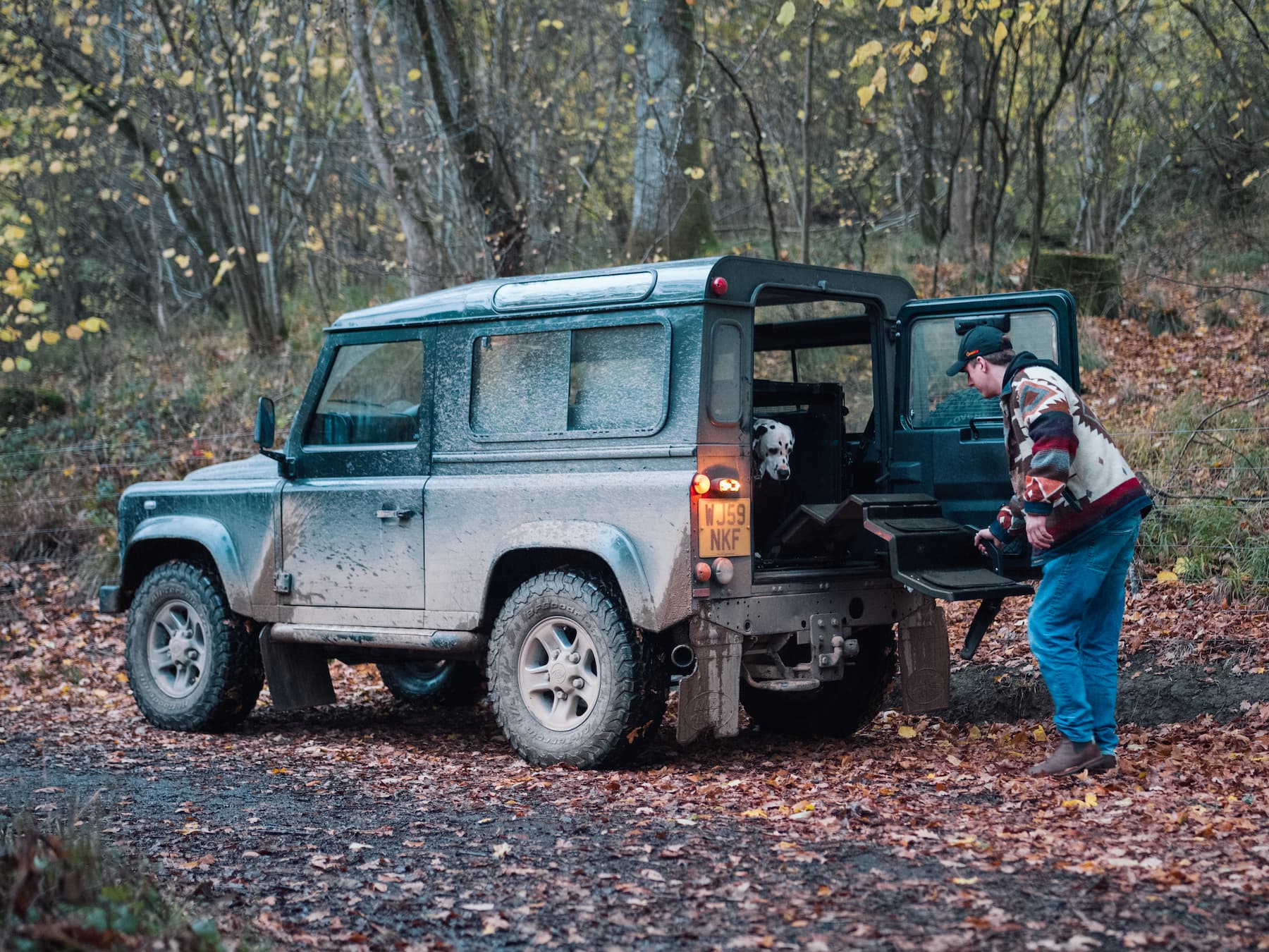 Dog & Drive steps and crate setup installed in a Land Rover Defender boot