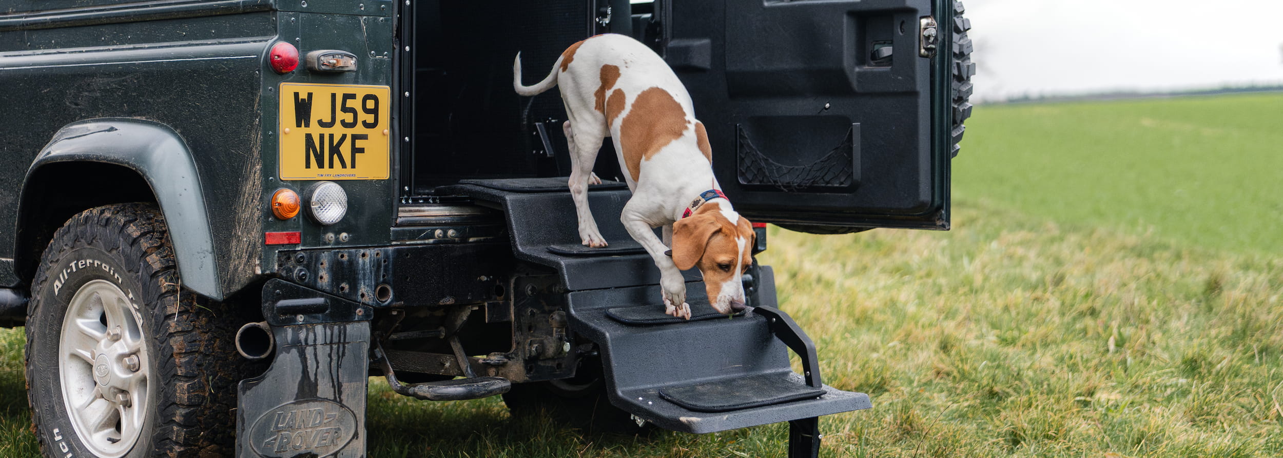 Dog & Drive steps installed in a vehicle boot