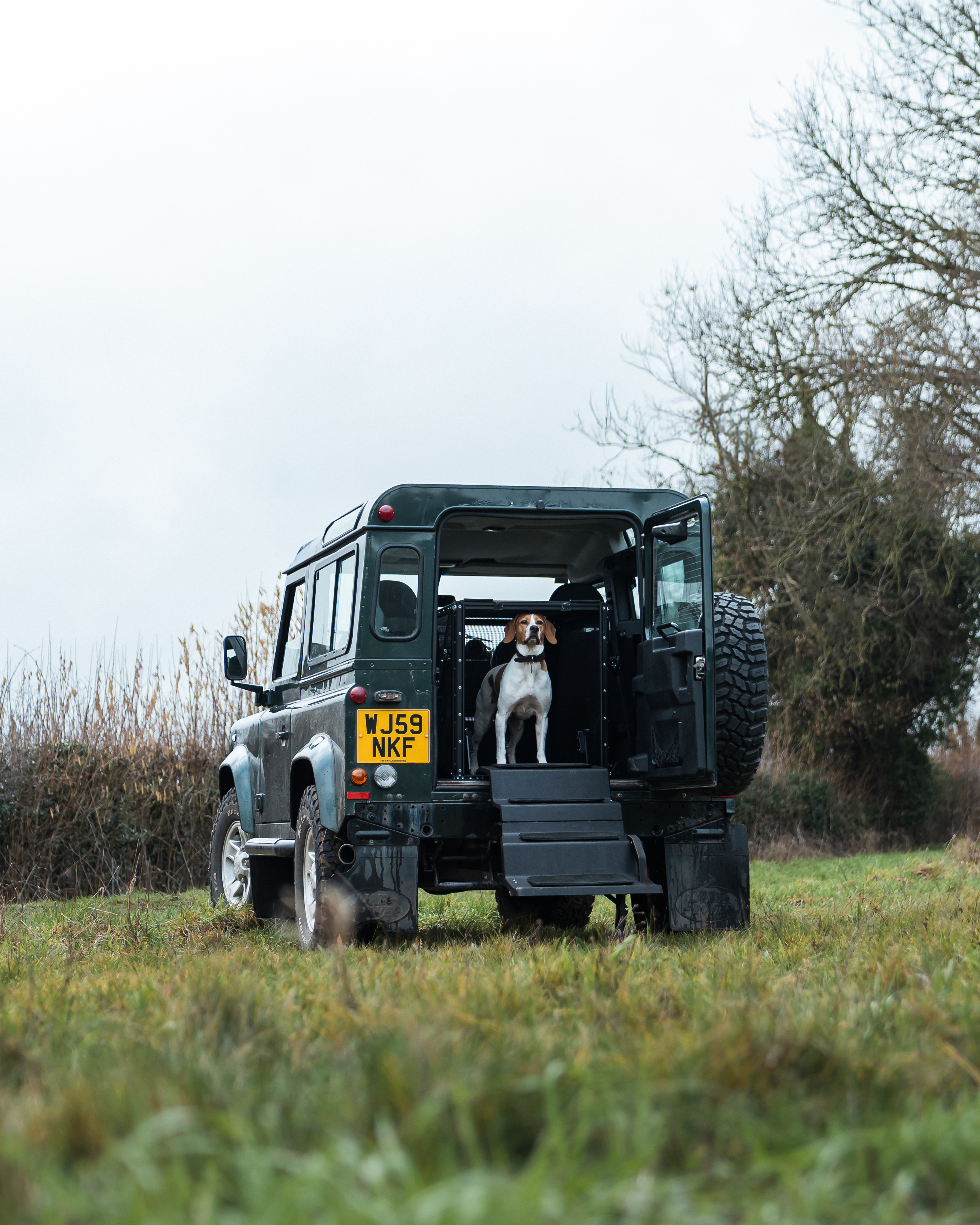 Dog & Drive dog steps fitted to a Classic Land Rover Defender