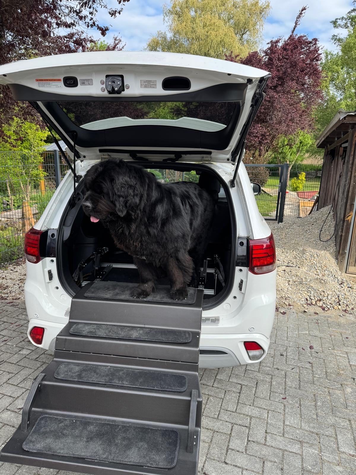 Dog & Drive Kundensystem in einem Mitsubishi Outlander