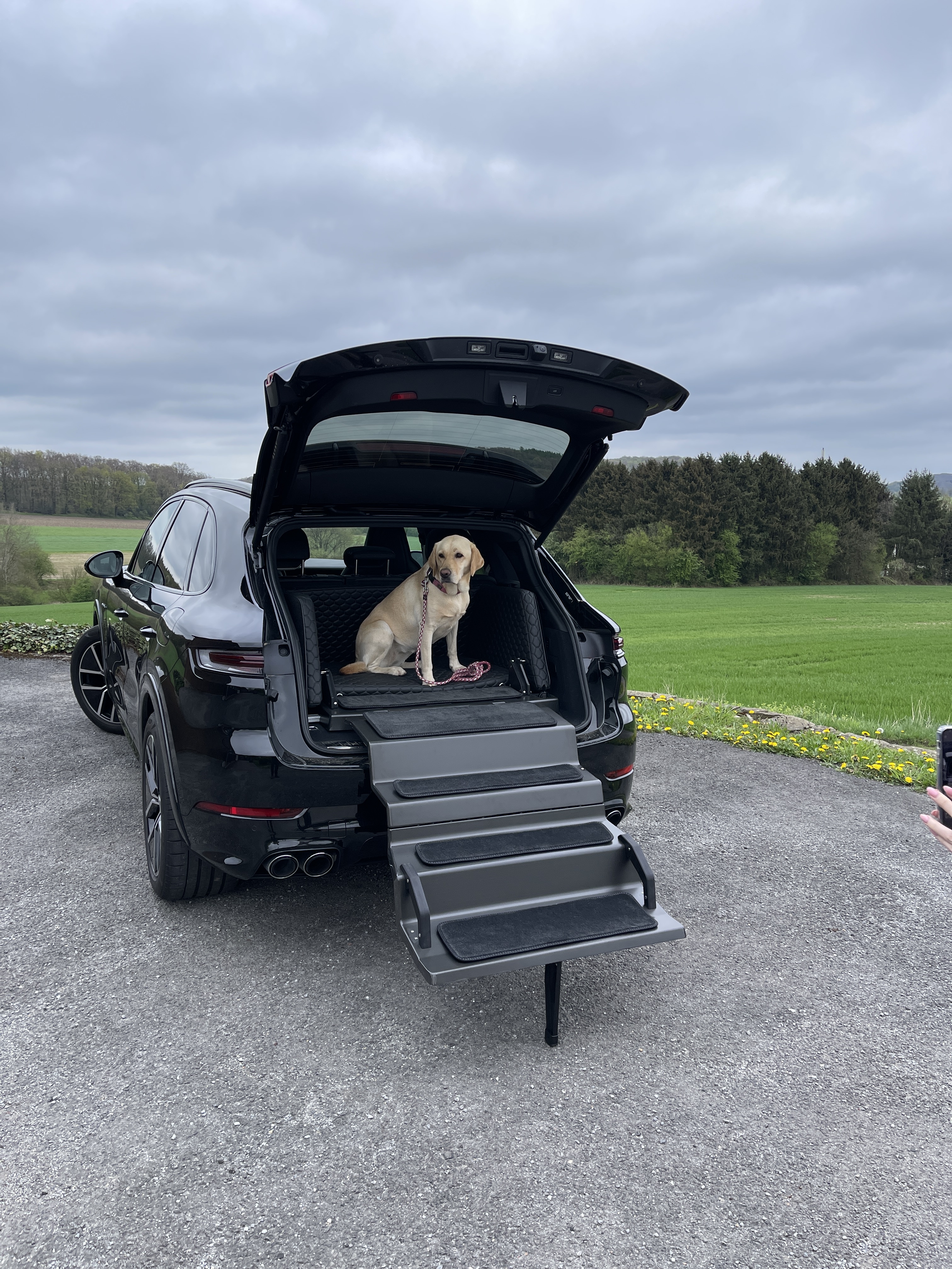 Dog & Drive Kundensystem in einem Porsche Cayenne