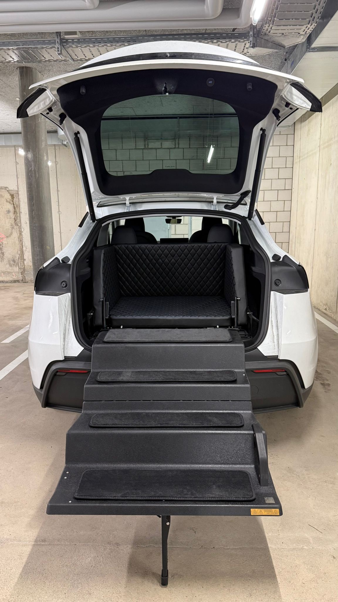 Dog & Drive Kundensystem in einem Tesla Model Y